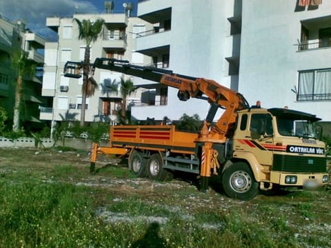 Ortaklar Vinç hiyaplı kamyon